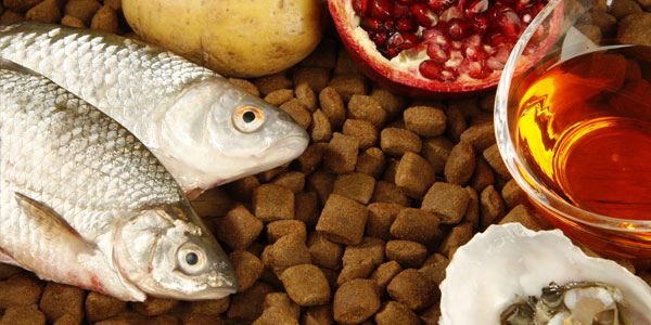 Недостатки сухих кормов