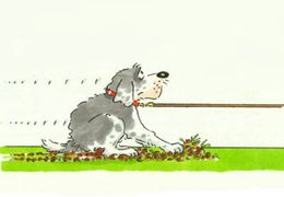 команда ко мне